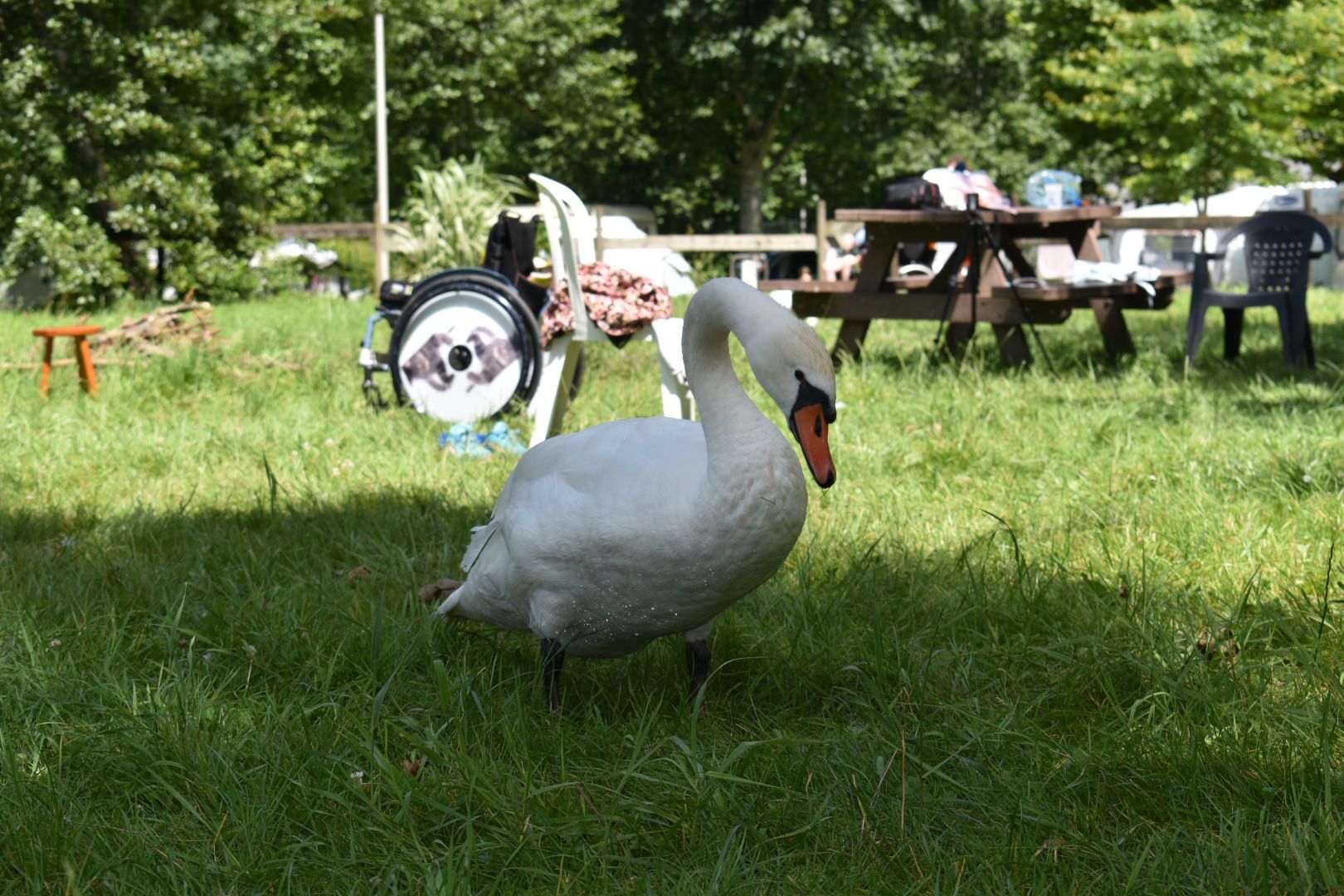 tranquille (2).jpeg