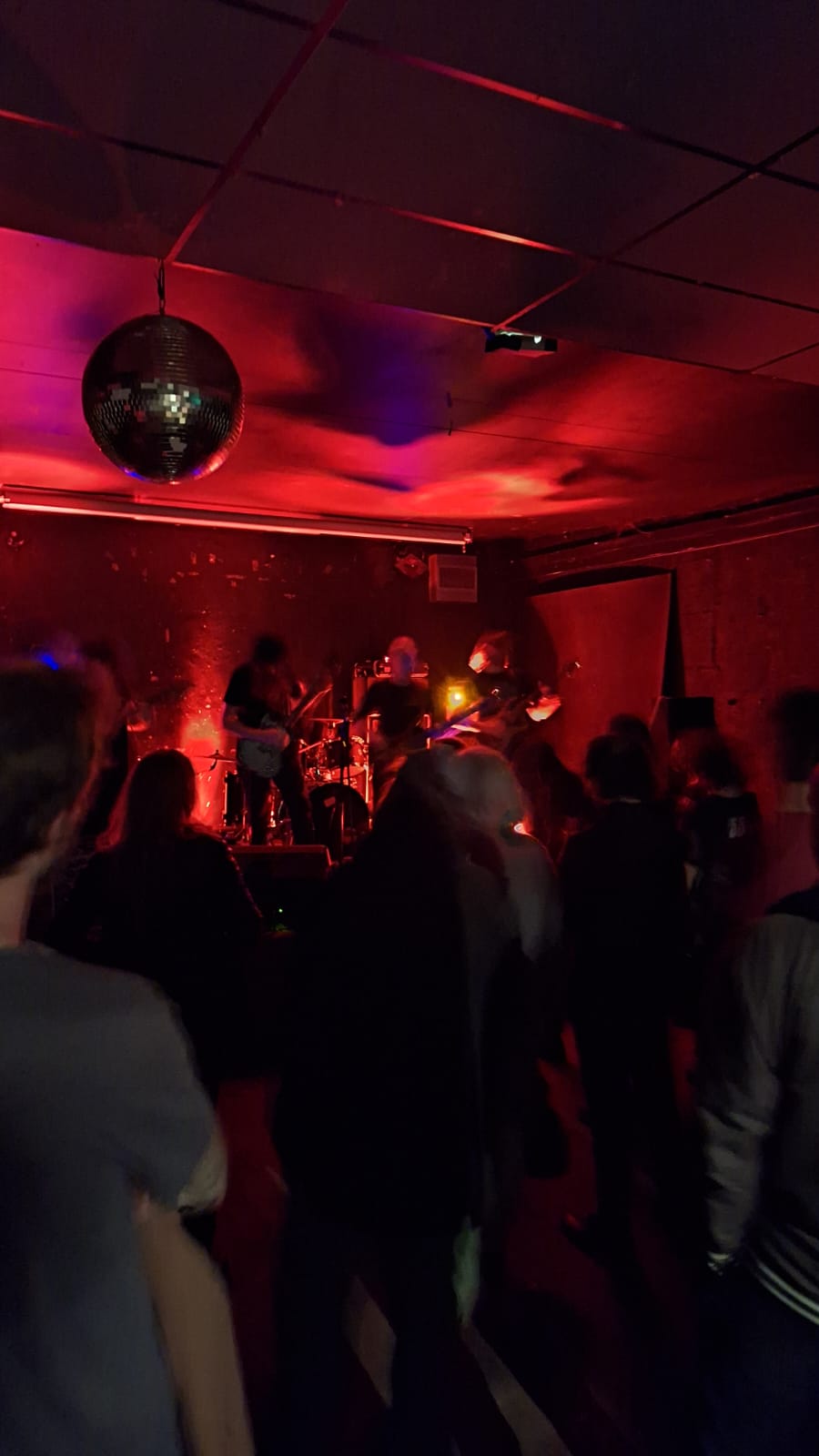 Concert punk.jpeg